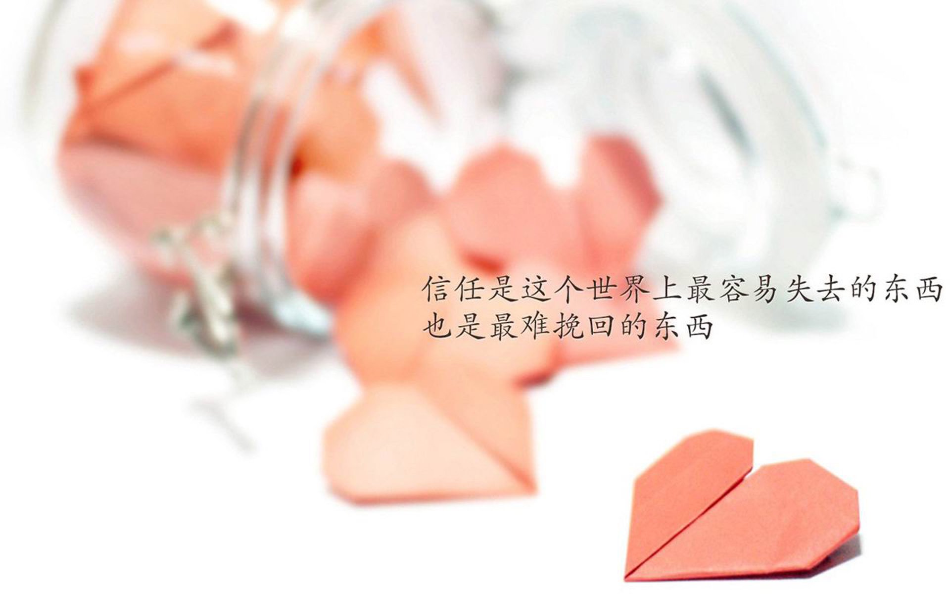“沙漠之王：车队在金色海洋上的激烈角逐”，沙漠车队电影