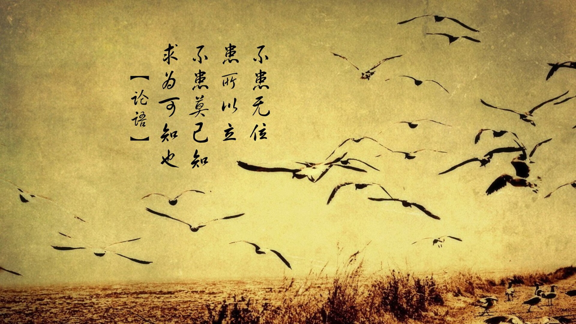 北京篮球场馆全面升级，改善青少年运动环境，北京篮球比赛场地