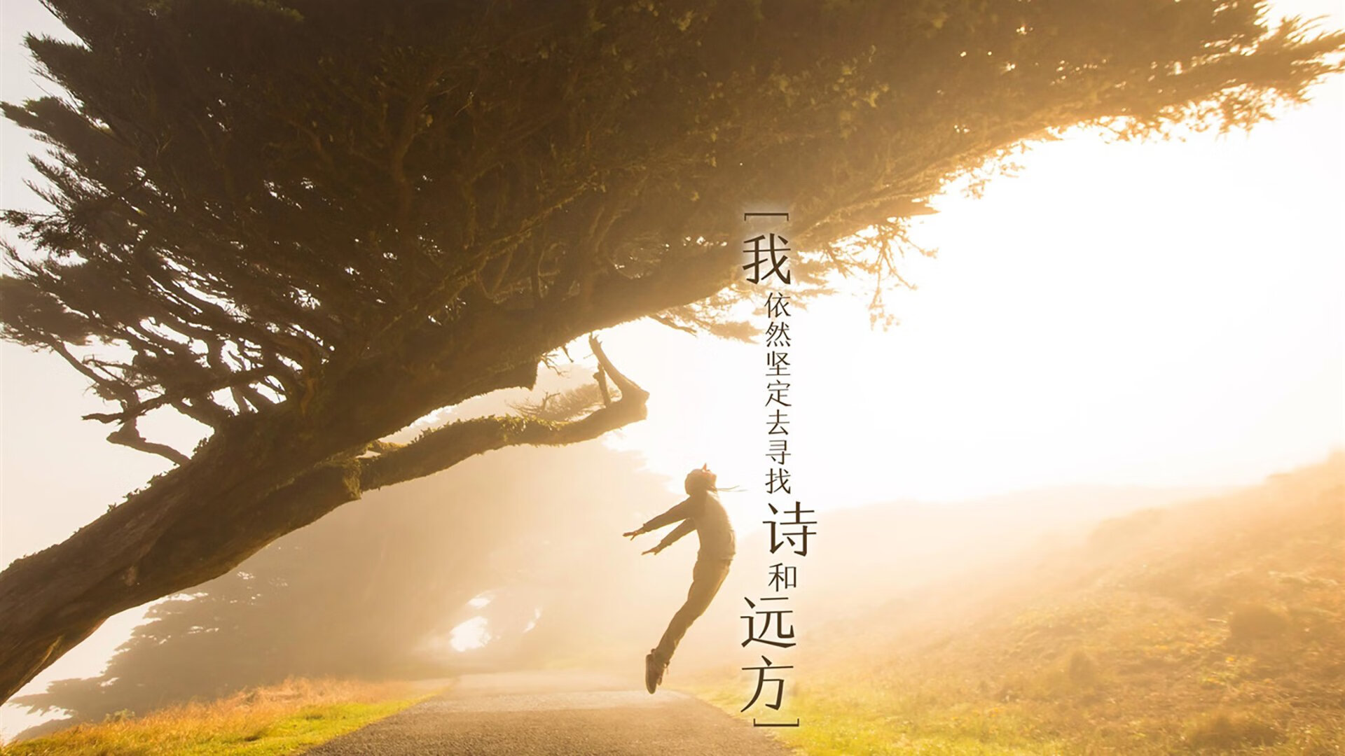 花样百出！国内足球赛事节节高潮，播放国内足球