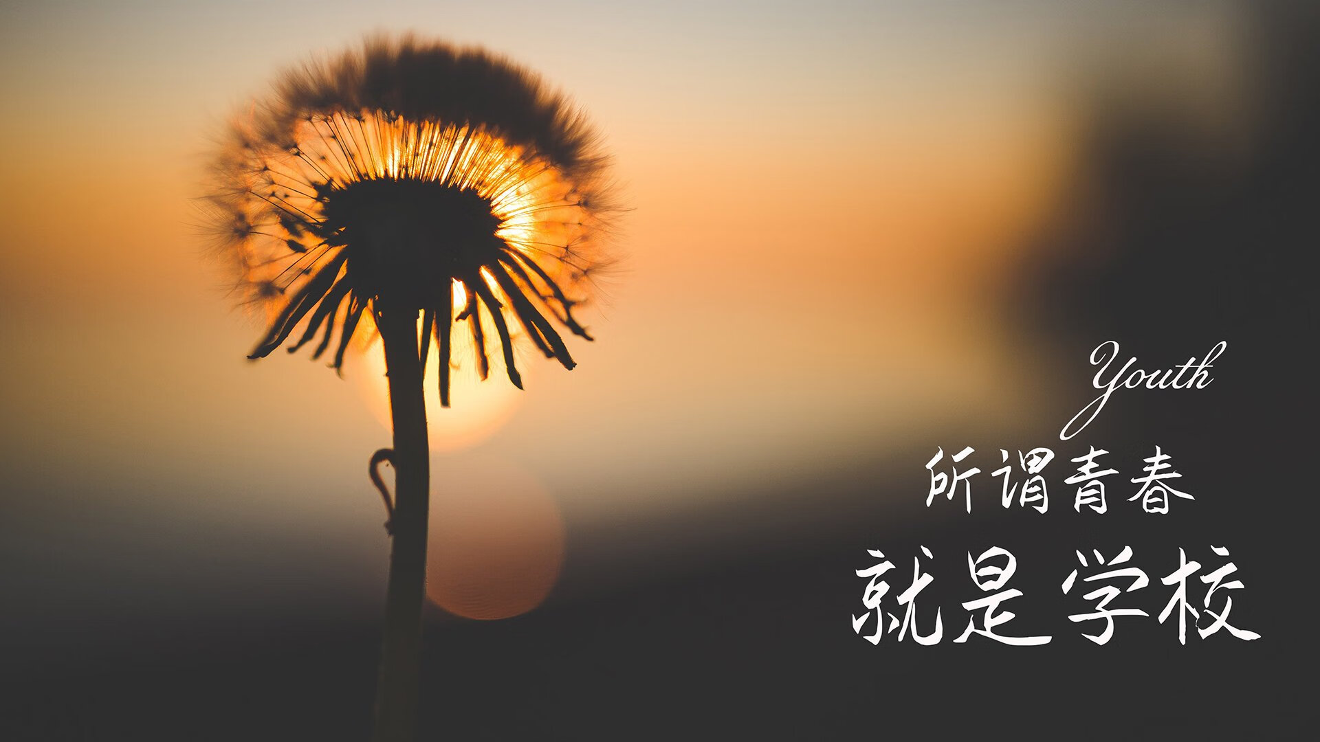 爱游戏娱乐网址-足球热潮席卷，女足影响力扩展，女足球运动