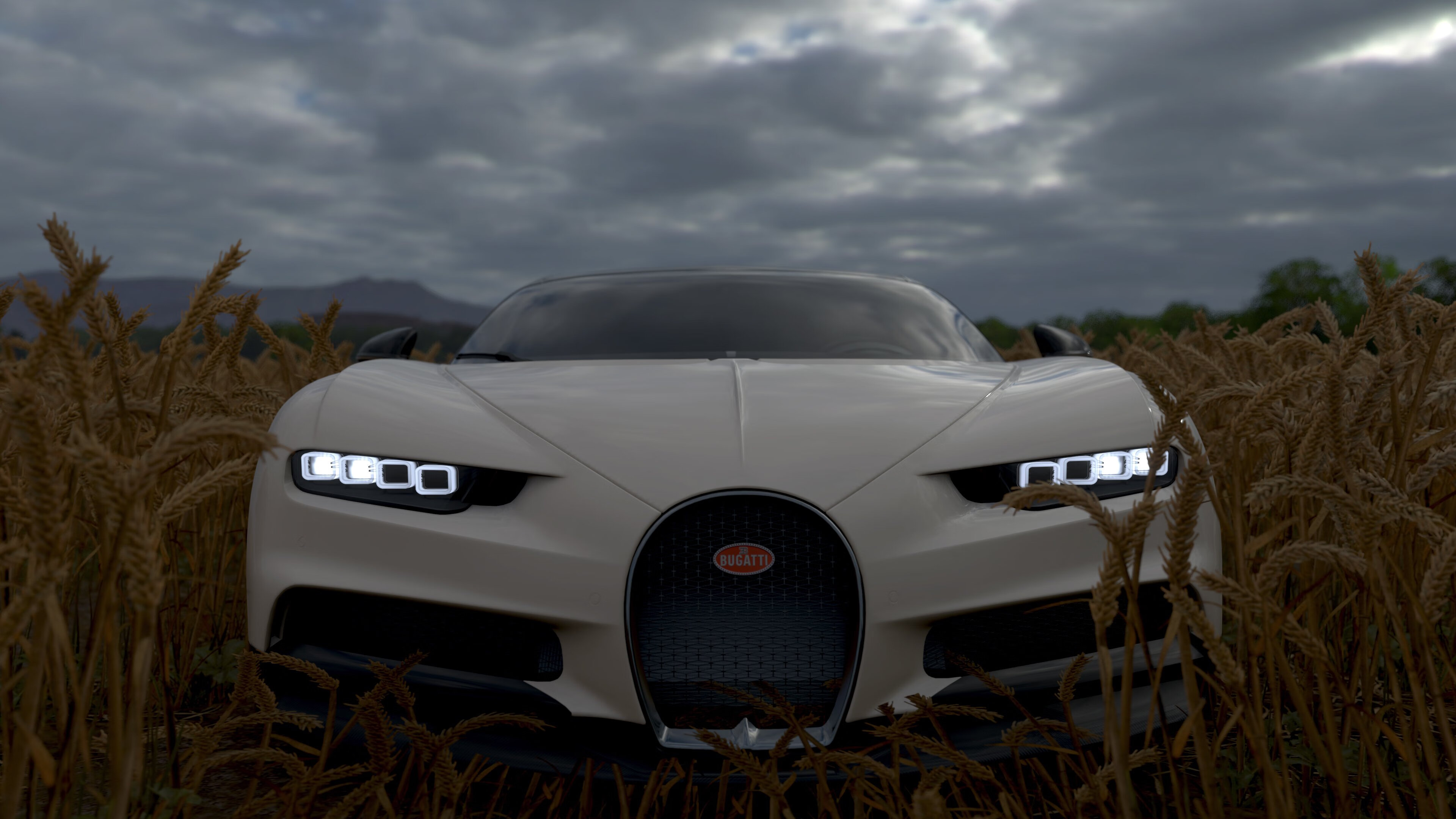 校园体育文化价值观影响研究，校园体育文化的建设与发展