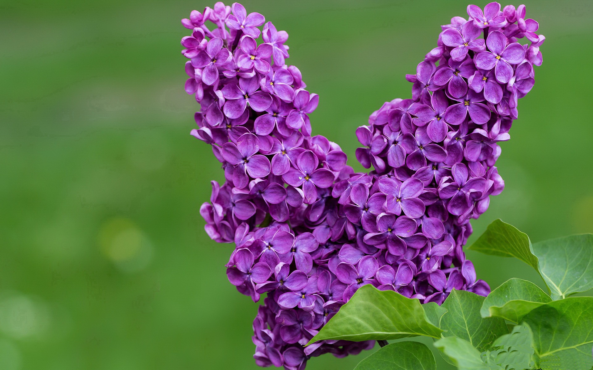 篮球运动员比赛策略智能辅助系统设计与应用,智能篮球训练设备