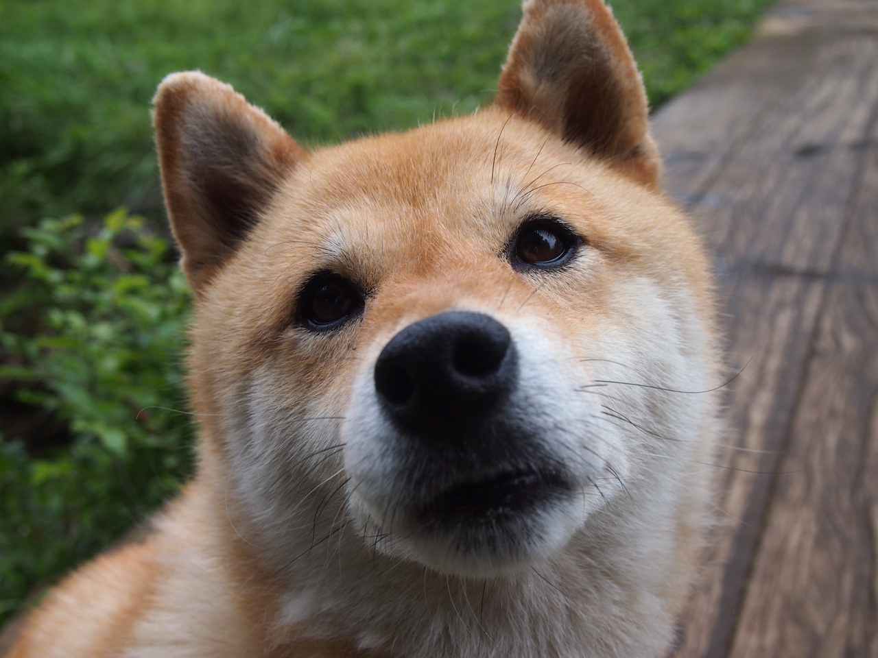 赛事观众行为管理，赛场观众