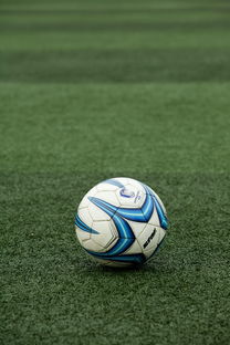 爱游戏平台-高校体育赛事应急管理体系构建，体育赛事应急预案细则