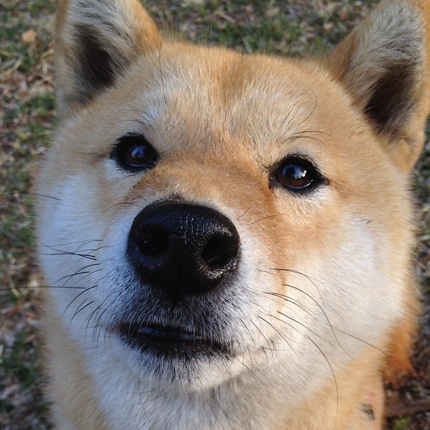 爱游戏官方-CBA联盟重视赛风赛纪加强裁判管理制度，cba裁判控制比赛