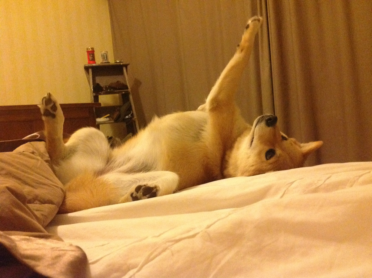 中国香港队的未来:如何借助团体赛事提升球队协作和心理素质,香港队员