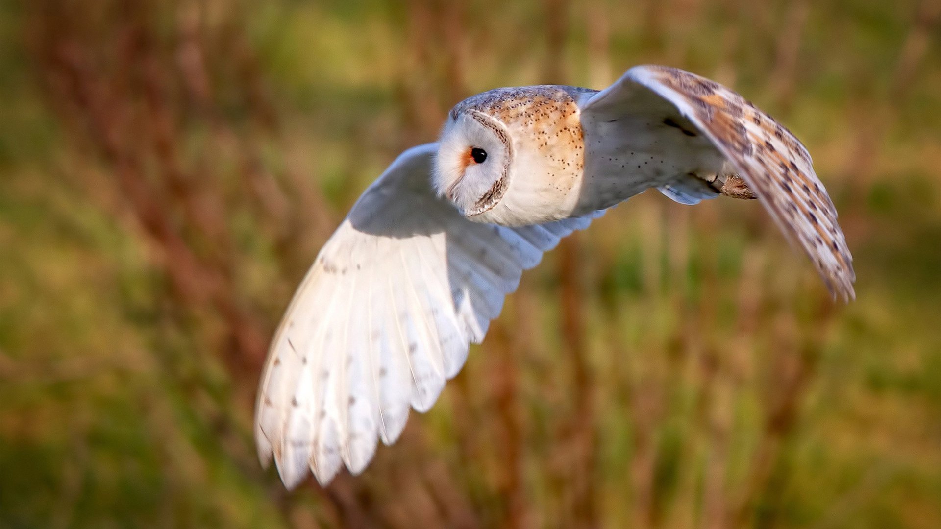 体育新闻中心主办体育新闻专业人才交流会,中国体育科学学会体育新闻传播分会