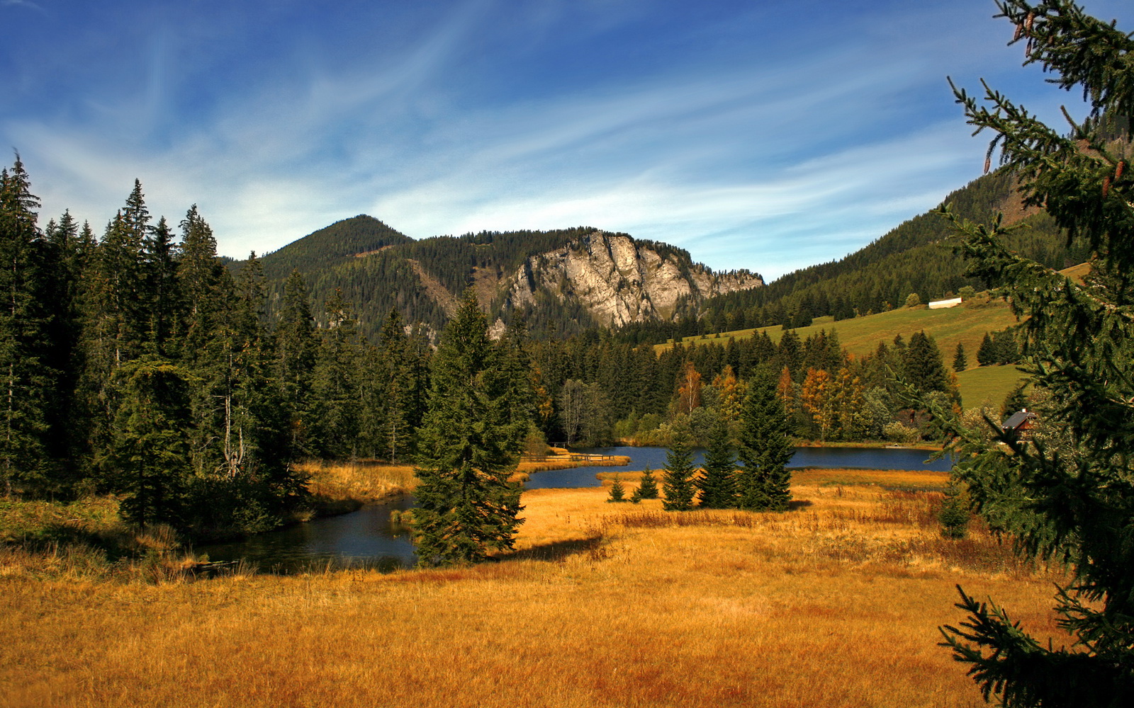 爱游戏娱乐-博卡缺乏中场调度核心