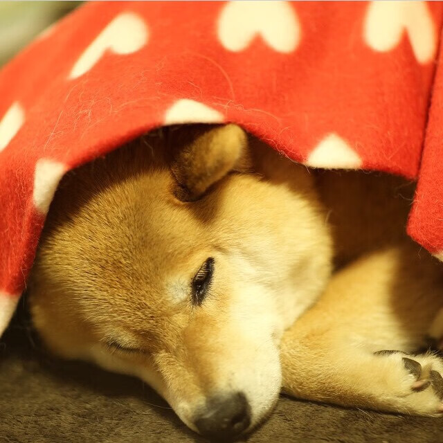 西甲精彩纷呈：攻防交锋，精彩不断！，西甲攻略