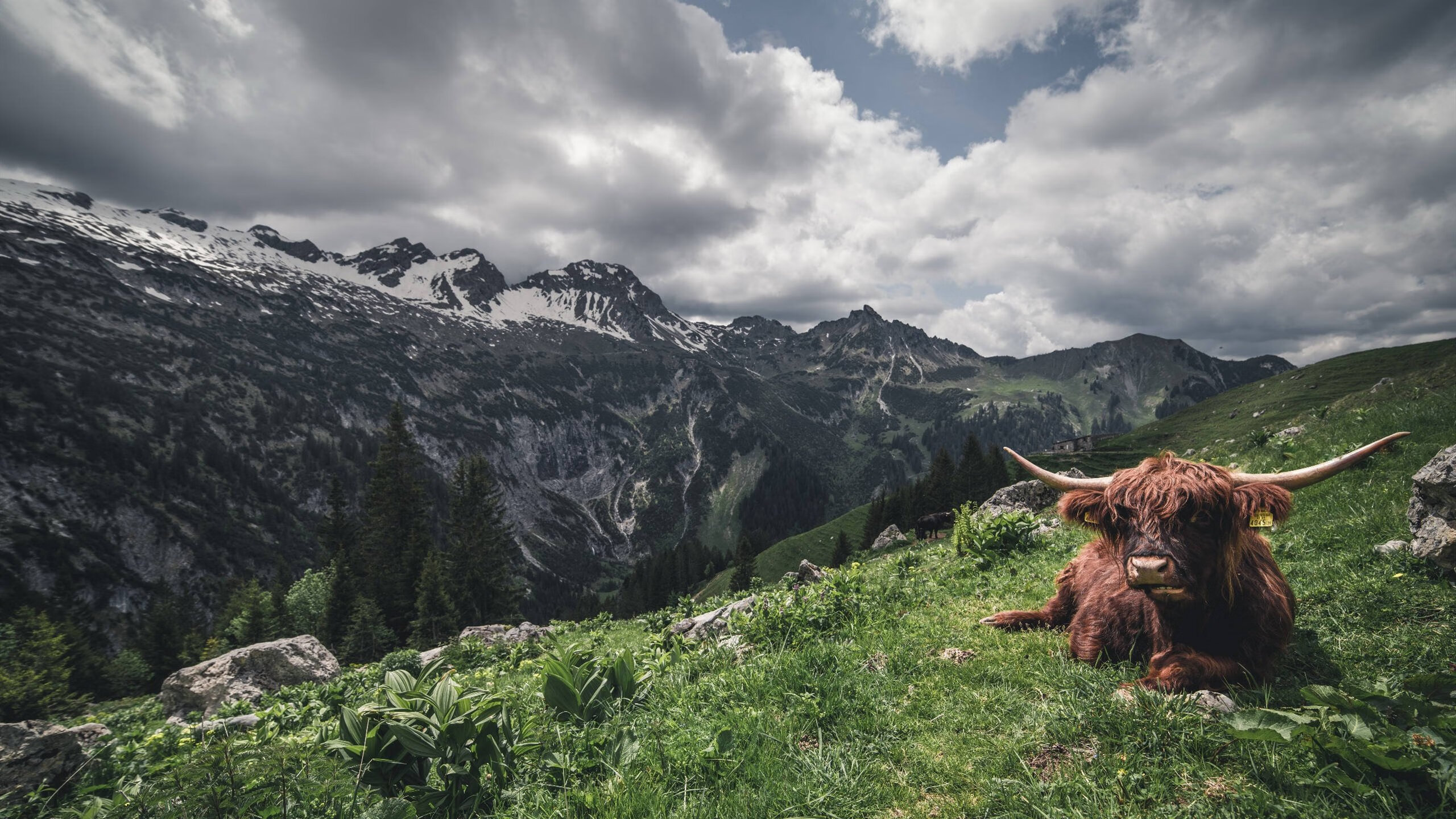 爱游戏体育APP下载-鹈鹕拍摄宣传照球员造型引发网友热烈讨论，鹈鹕正面照
