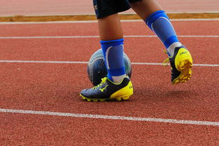 爱游戏官方-NBA球员训练营最新发展动态，nba球员日常训练项目