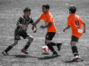 爱游戏体育账号注册-NBA球员训练营活动，nba球员训练营活动安排