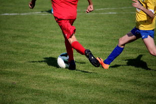 AYX GAMING-NBA球员训练计划个性化设计，nba球员训练视频,篮球技术