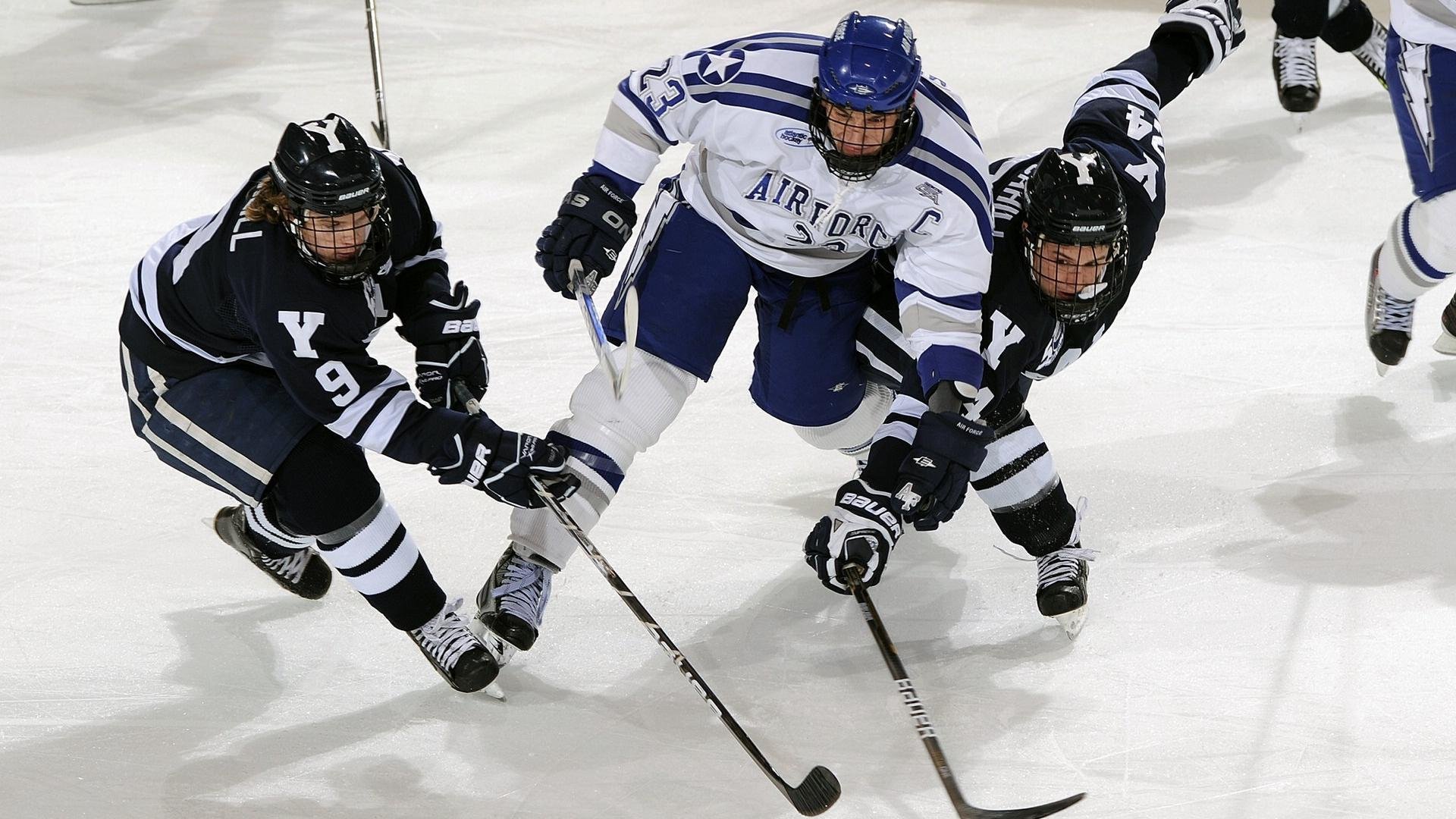 篮球运动员专项技能训练课程体系构建与评估，篮球专项技术